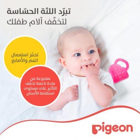 Pigeon Teether Piano N623 P369